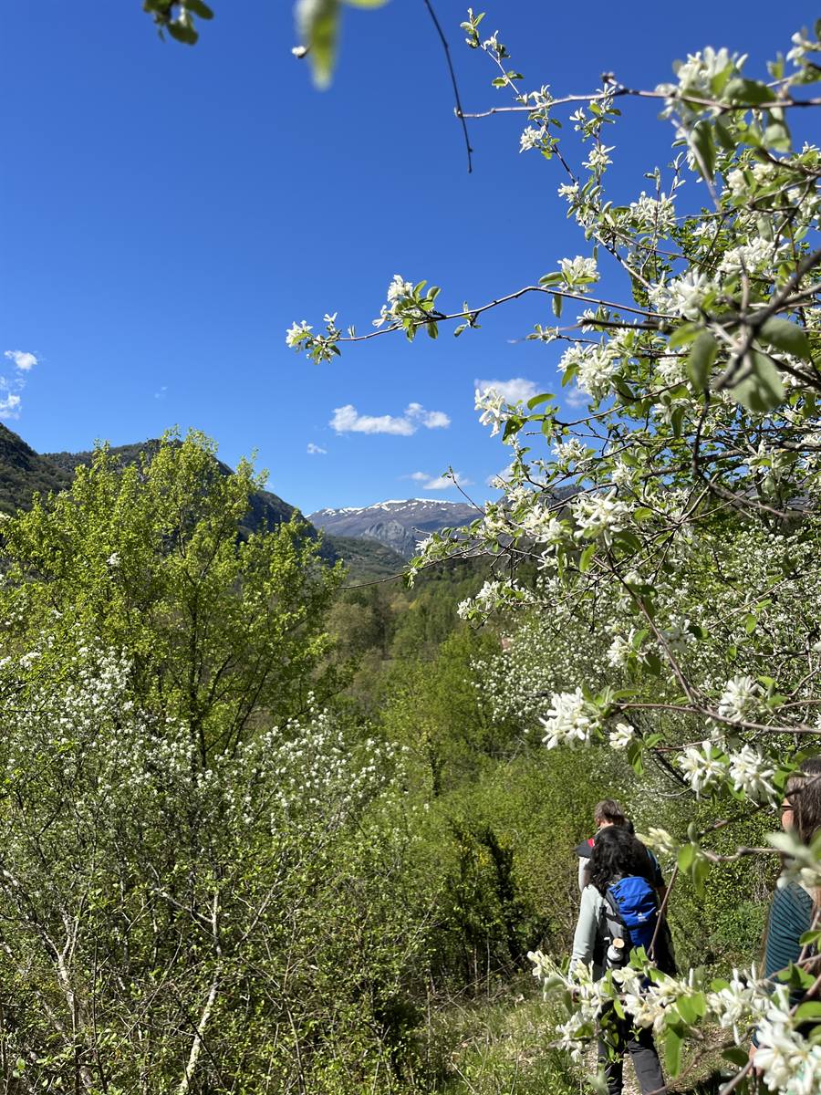 Tal der Ariège, Ussat-les-Bains